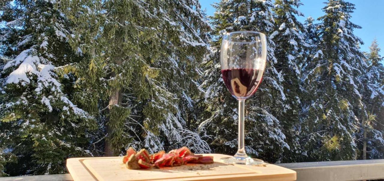 Fox Boutique Apartment Borovets Gardens 外观 照片