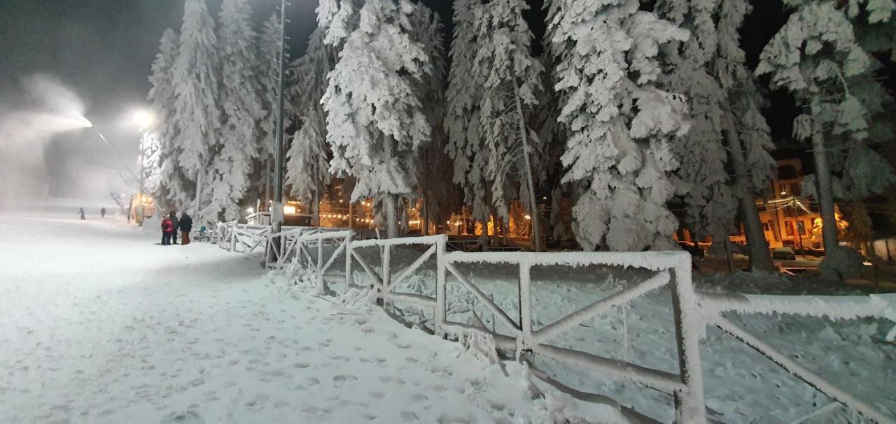 Fox Boutique Apartment Borovets Gardens 外观 照片